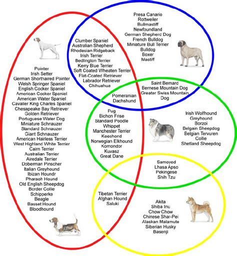 The Population Structure of 85 Dog Breeds The dataset includes five ...