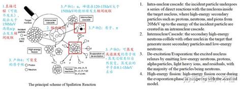 中子物理4 中子能量与核反应类型 知乎