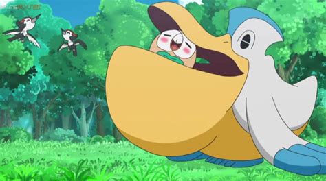 Rowlet What Are You Doing Pokémon Sun And Moon Know Your Meme