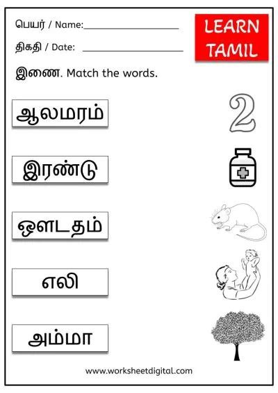 Learn Tamil Words Worksheet Digital