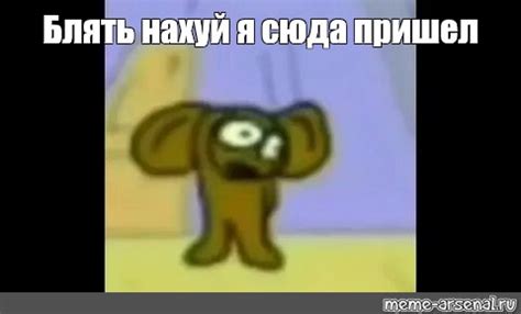 Meme Блять нахуй я сюда пришел All Templates Meme arsenal