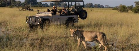 Wilderness Safaris | Ongava Concession | Pafuri