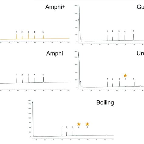 Reverse Phase High Performance Liquid Chromatography Rp Hplc Download Scientific Diagram