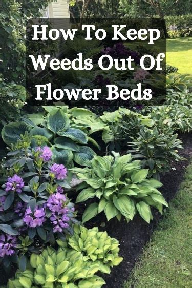 How To Keep Weeds Out Of Flower Beds Naturally Artofit