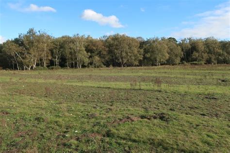 Cavenham Heath Hugh Venables Cc By Sa Geograph Britain And Ireland