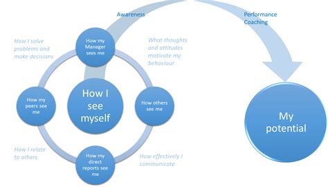 Lsi Leadership 360 Degree Feedback And Assessment Veraison