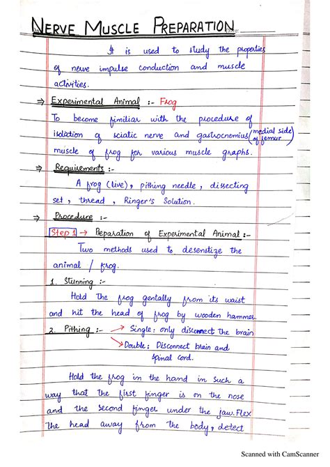 Solution Physiology Practical Nerve Muscle Preparation Studypool