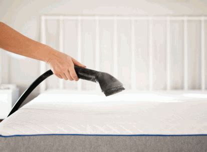 How To Steam Clean A Mattress Beyond Homes