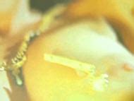 Naked Anja Nejarri in SK Kölsch