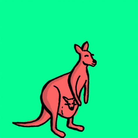 Kangaroo Muscle Gif