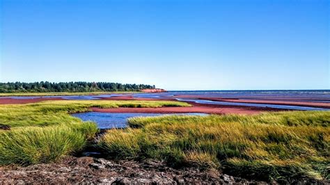 图片素材 景观 海 滨 地平线 沼泽 支撑 湖 湾 水库 平原 草原 湿地 栖息地 生态系统 地理特征 运动