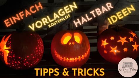 Halloween K Rbis Schnitzen Anleitung Haltbar Machen Ideen