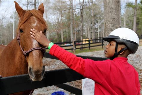 Horseback Riding Camps in PA | Camp Shohola