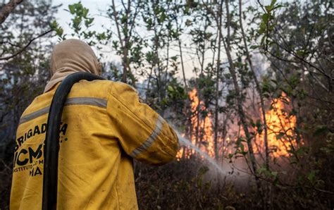 Novo Incêndio No Parque Nacional De Brasília Já Atingiu Mais De 35 Mil