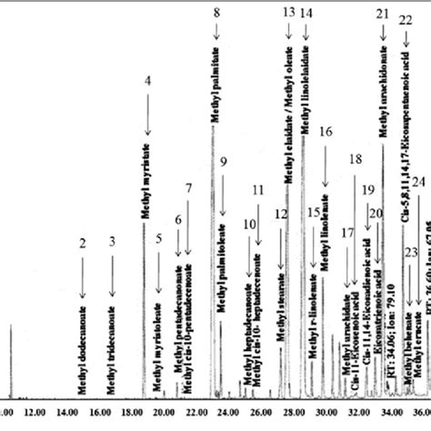 A Chromatogram Of The Fatty Acid Methyl Esters Fames Of Etoac