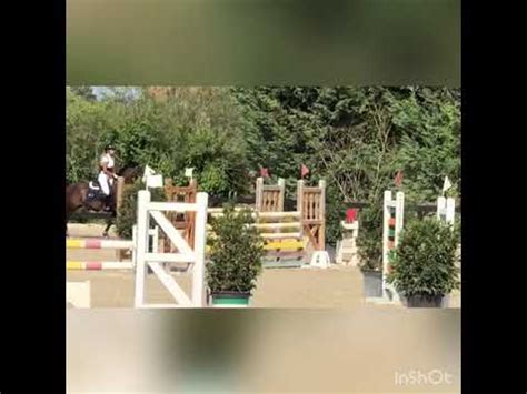 Pony In Vendita Super Pony New Forest Cat Vid O Equirodi It