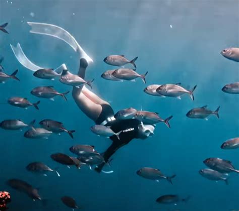 Đam mê lặn biển hot girl vô tình khiến vô số anh em bị cuốn theo