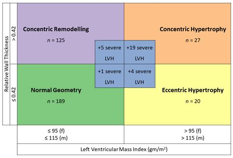 Left Ventricular Hypertrophy Echo