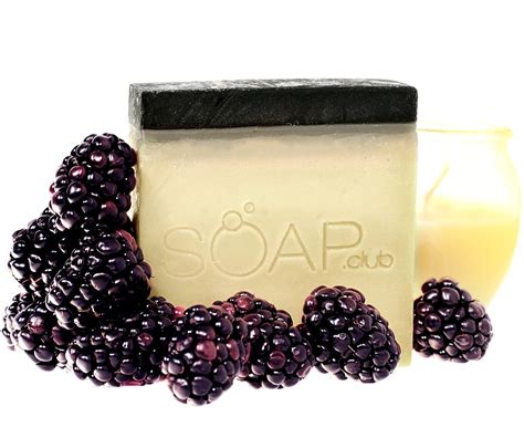 Black Raspberry Vanilla Natural Handmade Soap 5oz 1 Pack Click