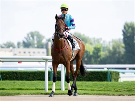 【2歳未勝利】 札幌2r ナバロンが好スタートから押し切り初勝利 競馬ニュース Netkeiba