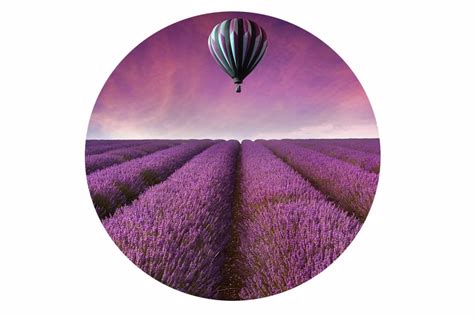 How Does The Hot Air Balloon Know Your Eye Power ScienceABC