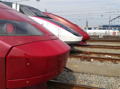 Best Tgv Images On Pholder Trains Watches Circlejerk And Train Porn