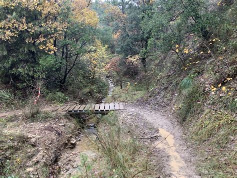 Album Photo Le Trail Des Collines De Giono