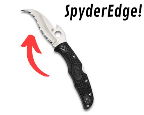 Spyderco Civilian Vs Matriarch [Which Is The Right Knife For You?] - Knife Trackers