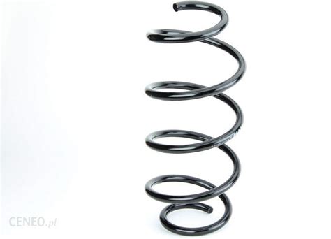 Sprężyna zawieszenia Sprężyna, przednia oś KAYABA RH1713 - Opinie i ...