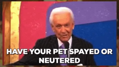 Pet Pet GIFs Get The Best On GIPHY