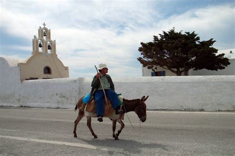 3 Lessons from Balaam and His Unusual Talking Donkey • Gene S. Whitehead