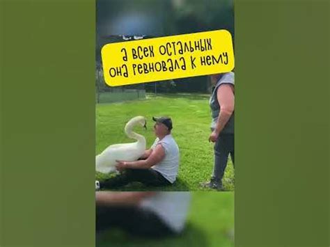 Его Доброта Породила Нечто Прекрасное ️ - YouTube