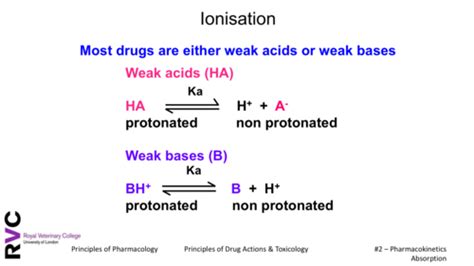 Principles Of Drug Action Toxicity Lecture Flashcards Quizlet