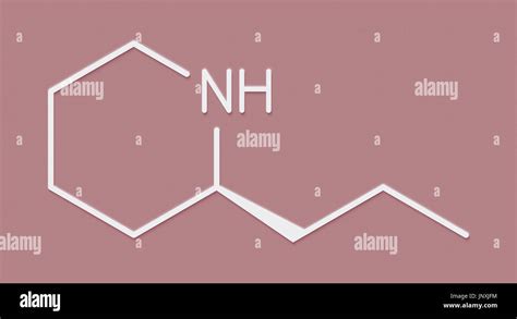 Coniine Herbal Toxin Molecule Present In Poison Hemlock Conium