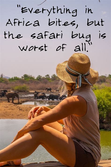 Awesome Safari Quotes And Captions To Prepare You For Africa