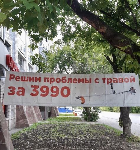 ﻿Решим проблемы с трав* л щр\ ; . И*ь- I Г-| • - - - - Ä Г'й ^v ...