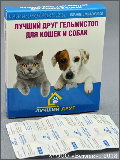 Пирантел Для Кошек И Собак – Telegraph