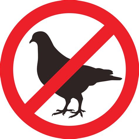 best bird not moving safely 2
