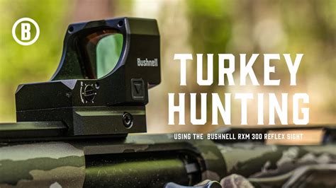 Rxm 300 Reflex Sight Turkey Hunting Red Dot Scope Bushnell Youtube