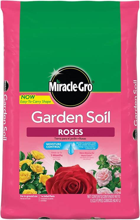 Will Roses Grow In Sandy Soil The Garden Hows