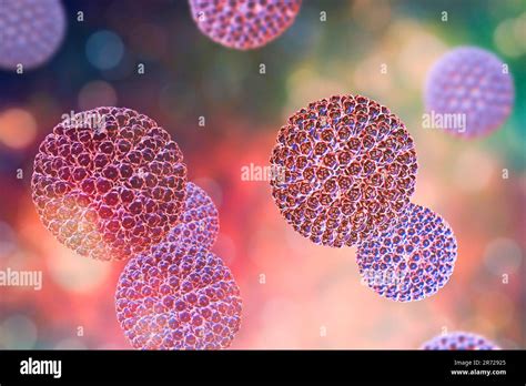 Rotavirus Particles Computer Artwork The Virus Particle Consists Of