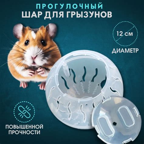 Прогулочный шар для грызунов и хомяков купить на OZON по низкой цене ...