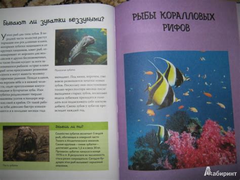 Книга: Рыбы. Энциклопедия - Владимир Свечников. Купить книгу, читать ...