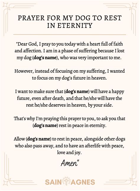 7 Prayers for a Dog Who Died and Dog in Heaven