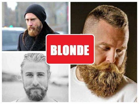 Blonde Beard: How to Grow, Trim and Maintain – BeardStyle