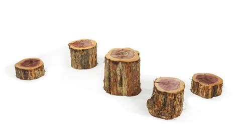 Wood Stepping Stump Log Set Of 5 Various Heights Florida