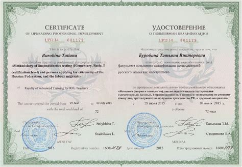 Преподаватели и тесторы