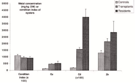 Differences In Condition Index And Metal Concentrations In Oysters Download Scientific