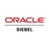 siebel net worth
