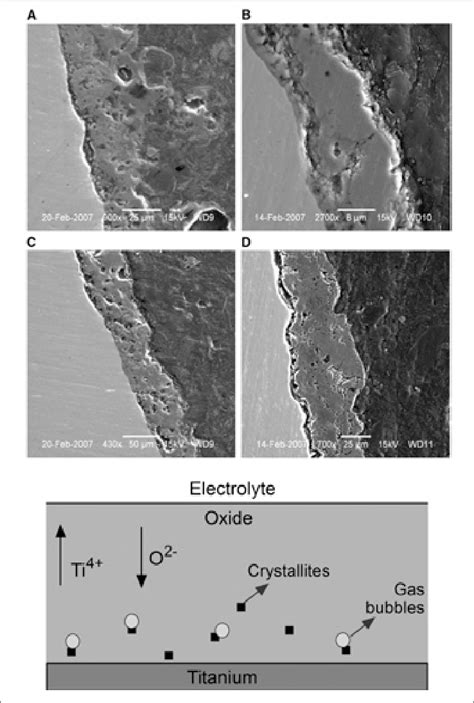 Cross-sectional scanning electron micrographs of a) mixed, b ... 